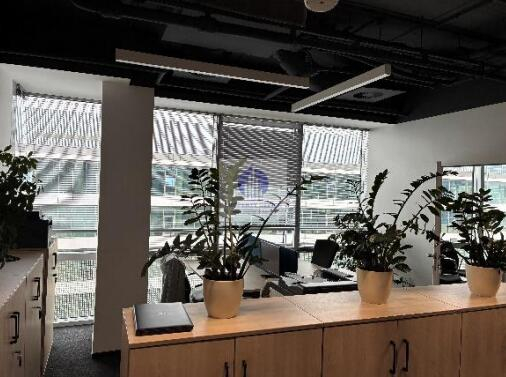 Wola: biuro 572,66 m2