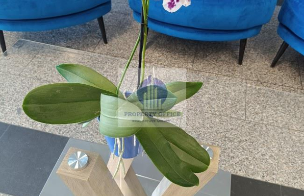 Targówek: lokal biurowy na wynajem