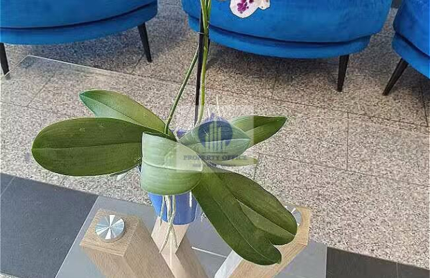 Targówek: lokal biurowy na wynajem