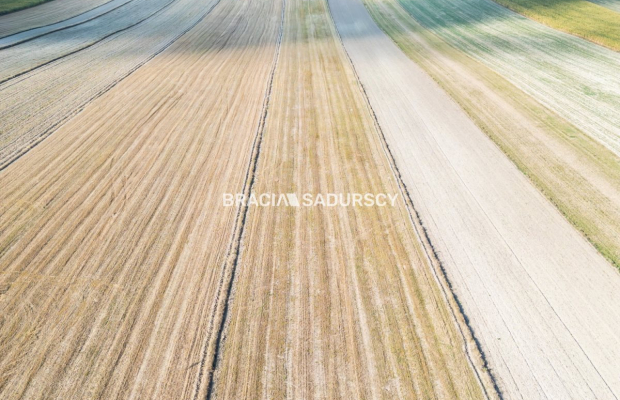 Dom na wsi, duża działka 30 km od Krakowa 