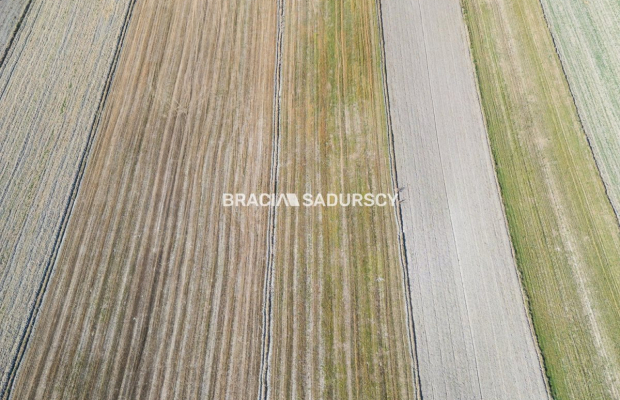 Dom na wsi, duża działka 30 km od Krakowa 