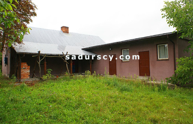Działka 2100m2  z domem z dobudówką, razem 4 pokoje z kuchnią, łazienką, we wsi Niedźwiada Duża, ok. 15 km od Kazimierza Dolneg