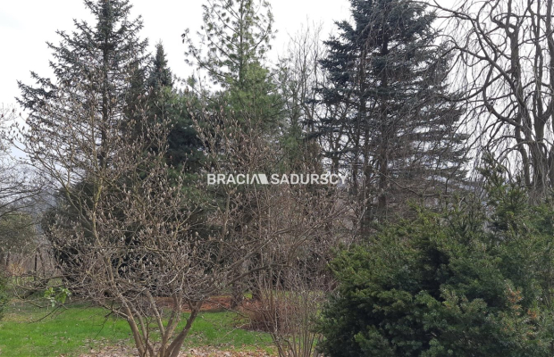 Duża działka z potencjałem – centrum Sieprawia