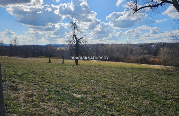 Działki na sprzedaż - Czechówka