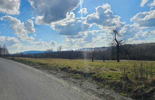 Działki na sprzedaż - Czechówka