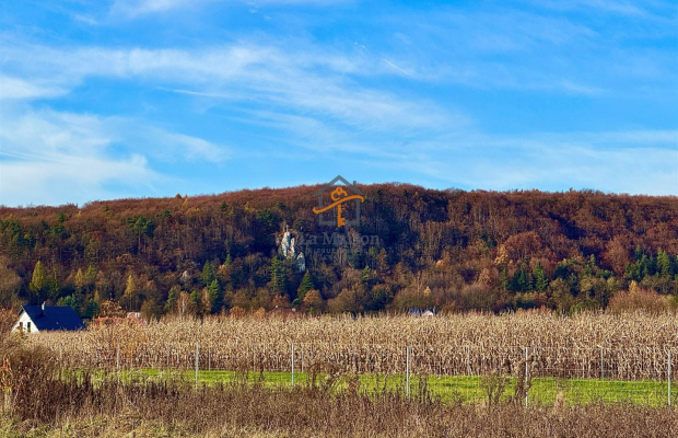 Rusicice, gm. Czernichów. 27 ar w zielonej okolicy