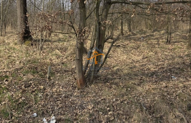 Działka z MPZP | Marcyporęba | MN + RM