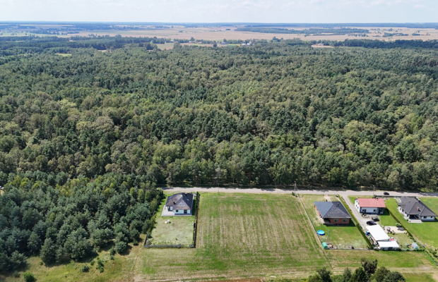 Krzepice, Dankowice-Piaski | Działka pod budowę