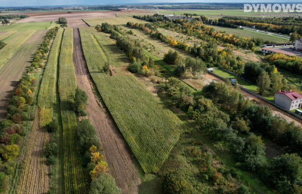 Kłobuck, ul. Cielebana | Działka budowlana