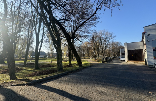 Jędrzejów, ul. Głowackiego | Lokal na wynajem