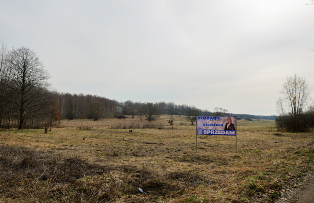 Kolonia Brzeziny Wielkie | Działka na sprzedaż
