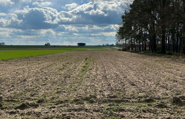 Górki Gmina Przystajń | Działka na sprzedaż