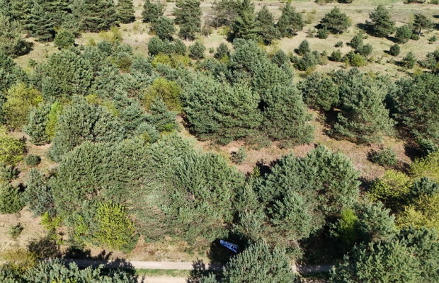 Konopiska, Brylantowa | Działka budowlana