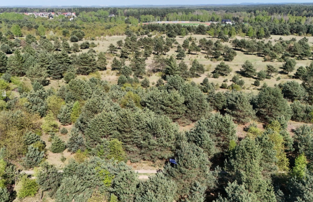 Konopiska, Brylantowa | Działka budowlana