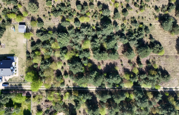 Konopiska, Brylantowa | Działka budowlana