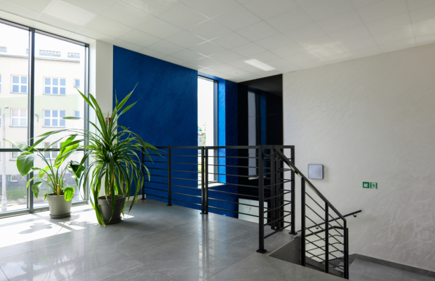 Wręczyca Wielka, ul. Czereśniowa | Nowe lokale