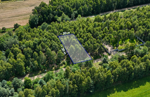 Gruszewnia | Dom w stanie surowym zamkniętym