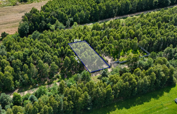 Gruszewnia | Działka z projektem na sprzedaż