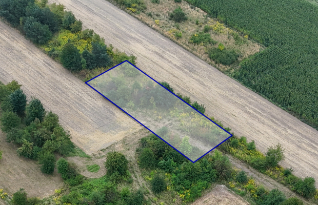 Rzerzęczyce | Działka na sprzedaż