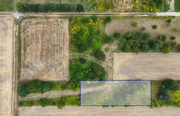 Rzerzęczyce | Działka na sprzedaż