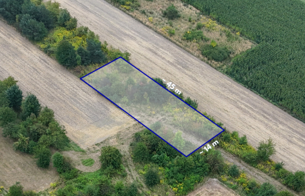 Rzerzęczyce | Działka na sprzedaż