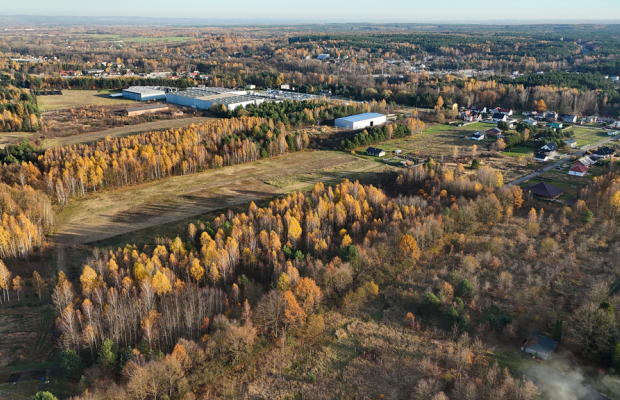Kolonia Klepaczka, ul. Zielona | Działka