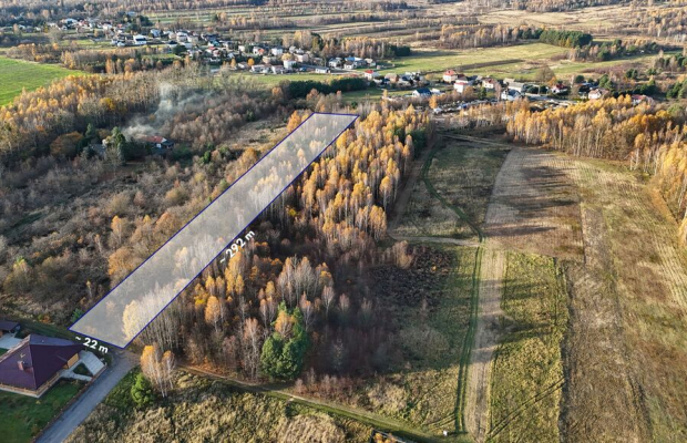 Kolonia Klepaczka, ul. Zielona | Działka