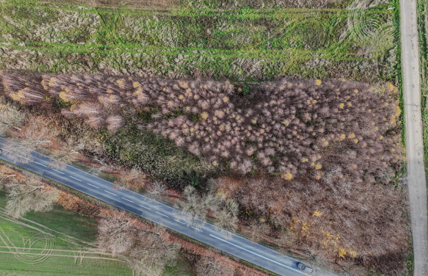 Stary Cykarzew, ul. Dębowa | Działka na sprzedaż