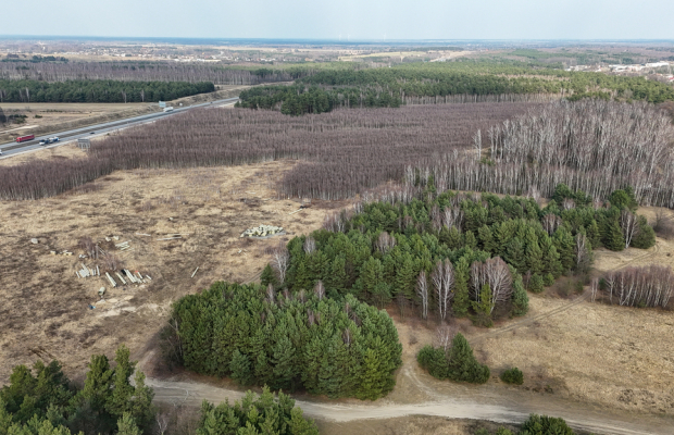Częstochowa, Goździków | Działka wynajem/dzierżawa