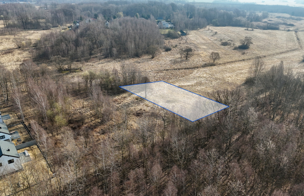 Kolonia Brzeziny Wielkie | Działka na sprzedaż