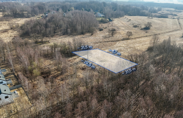 Kolonia Brzeziny Wielkie | Działka na sprzedaż