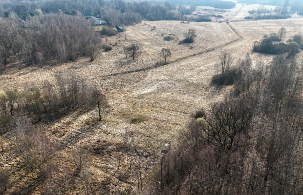 Kolonia Brzeziny Wielkie | Działka na sprzedaż