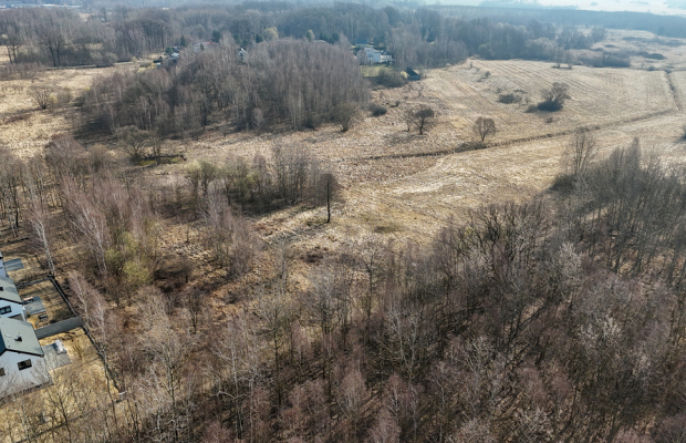 Kolonia Brzeziny Wielkie | Działka na sprzedaż