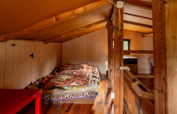 Pietrzaki, Fiołkowa | Drewniany dom na sprzedaż