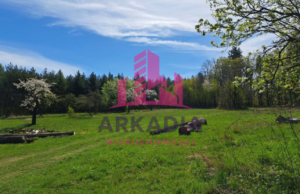 Wyjątkowa nieruchomość z historią – Grodziszcze Ko