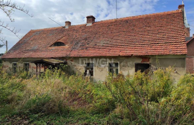 Krzepielów, dom z działką 71 ar, sprzedam, cena 330 000 zł  
  
  
Do sprzedania dom do kapitalnego remontu, usytuowany na duże