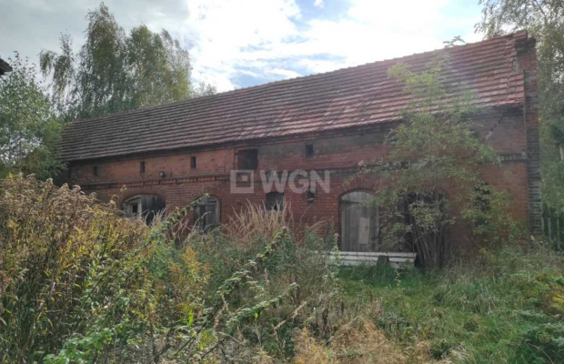 Krzepielów, dom z działką 71 ar, sprzedam, cena 330 000 zł  
  
  
Do sprzedania dom do kapitalnego remontu, usytuowany na duże