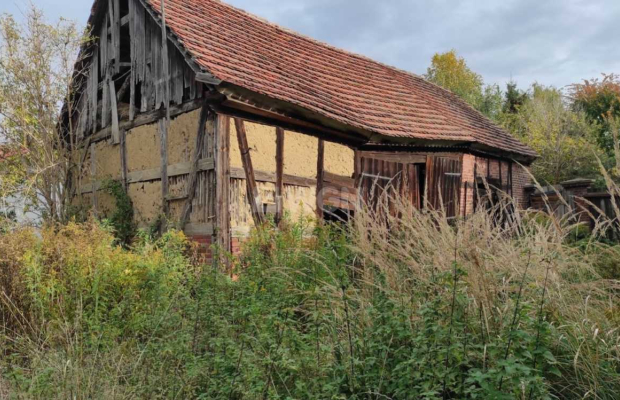 Krzepielów, dom z działką 71 ar, sprzedam, cena 330 000 zł  
  
  
Do sprzedania dom do kapitalnego remontu, usytuowany na duże