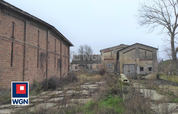 Twierdzielewo, gm Przytoczna, dom 250 m2, gospodarstwo, 1,23 ha, sprzedam, 520 000 zł, .  
  
Na sprzedaż nieruchomość gruntowa