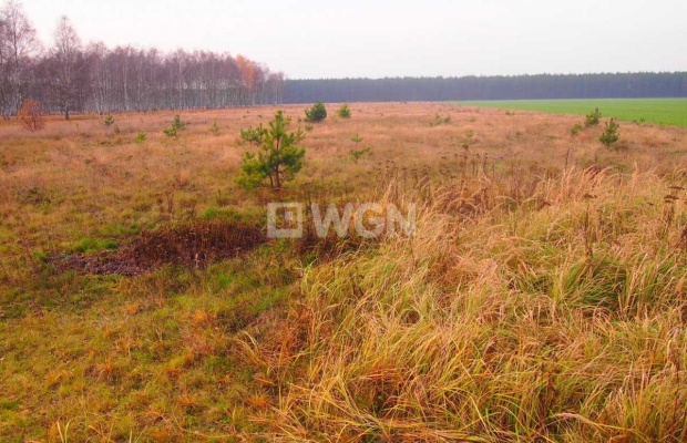 Sobin, działka inwestycyjna, 1,79 ha, 1 000 000 zł, sprzedam.  
  
Na sprzedaż działka inwestycyjna o powierzchni 1,79 ha położ