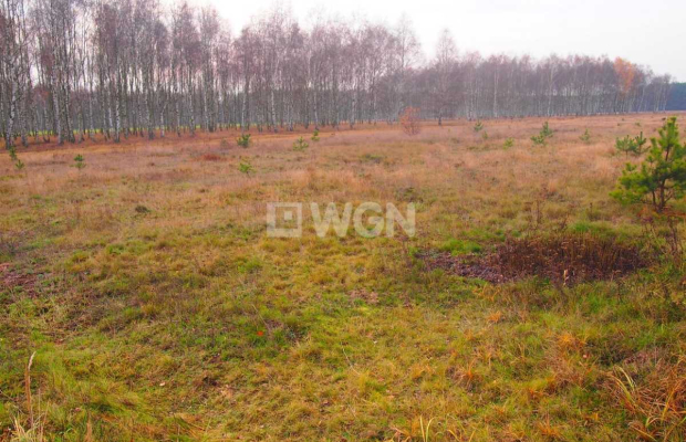 Sobin, działka inwestycyjna, 1,79 ha, 1 000 000 zł, sprzedam.  
  
Na sprzedaż działka inwestycyjna o powierzchni 1,79 ha położ