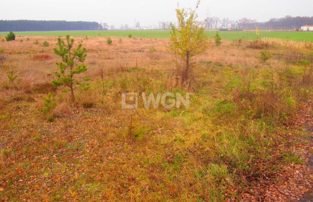 Sobin, działka inwestycyjna, 1,79 ha, 1 000 000 zł, sprzedam.  
  
Na sprzedaż działka inwestycyjna o powierzchni 1,79 ha położ