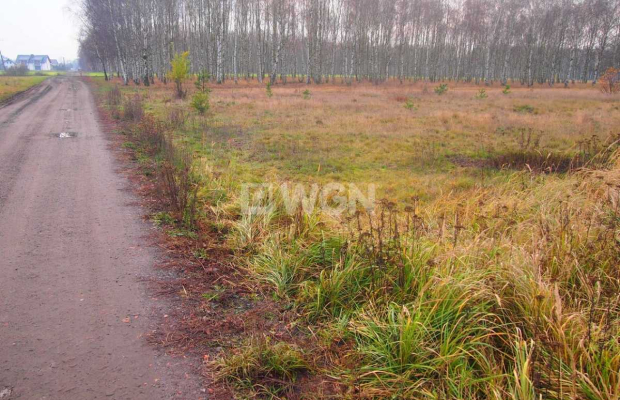 Sobin, działka inwestycyjna, 1,79 ha, 1 000 000 zł, sprzedam.  
  
Na sprzedaż działka inwestycyjna o powierzchni 1,79 ha położ