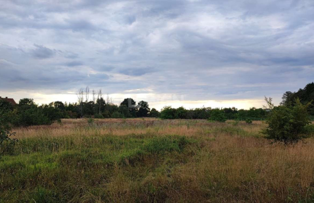 Kożuchów, działka budowlana, 4000 m2, cena 300 000 zł, sprzedam.  
  
Na sprzedaż duża działka w Kożuchowie, blisko drogi asfal