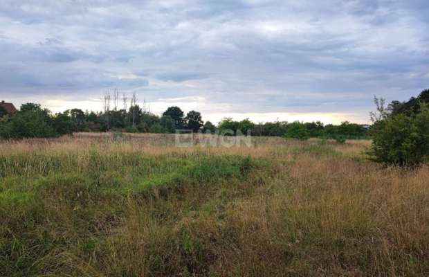 Kożuchów, działka budowlana, 4000 m2, cena 300 000 zł, sprzedam.  
  
Na sprzedaż duża działka w Kożuchowie, blisko drogi asfal