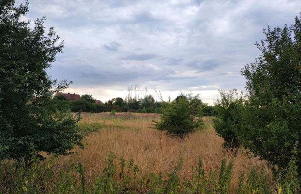 Kożuchów, działka budowlana, 4000 m2, cena 300 000 zł, sprzedam.  
  
Na sprzedaż duża działka w Kożuchowie, blisko drogi asfal