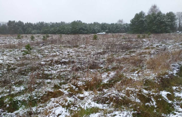 Sobin, Polkowice, działka przemysłowo-usługowa, 22 ar, sprzedam, 120 000 zł.  
  
Na sprzedaż grunty pod inwestycję w miejscowo