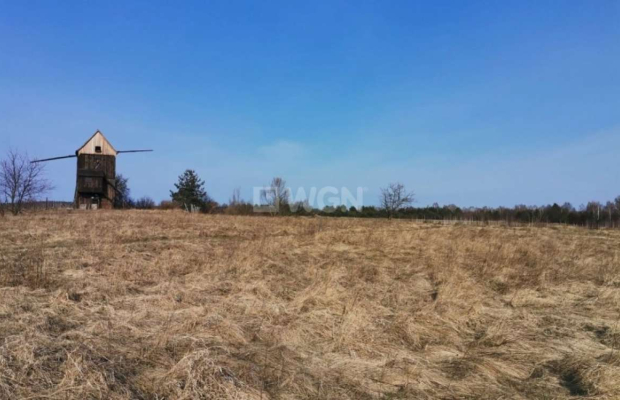 Chocianowiec, działka budowlana, 83 ar, sprzedaż, 290 500 zł.  
  
Na sprzedaż grunt budowlany w miejscowości Chocianowiec w po