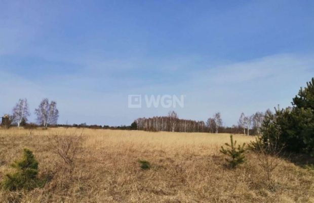 Chocianowiec, działka budowlana, 83 ar, sprzedaż, 290 500 zł.  
  
Na sprzedaż grunt budowlany w miejscowości Chocianowiec w po