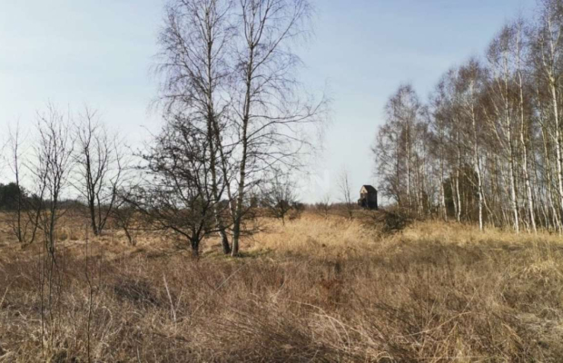 Chocianowiec, działka budowlana, 83 ar, sprzedaż, 290 500 zł.  
  
Na sprzedaż grunt budowlany w miejscowości Chocianowiec w po